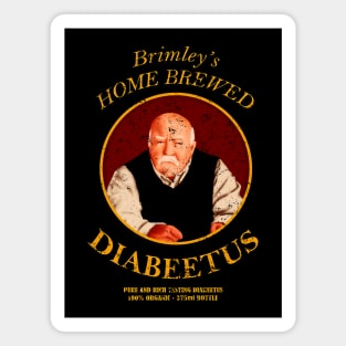 DIABEETUS I GOT THE SUGARS! Magnet